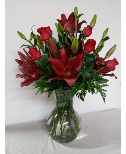 Modelo 565 Rojo