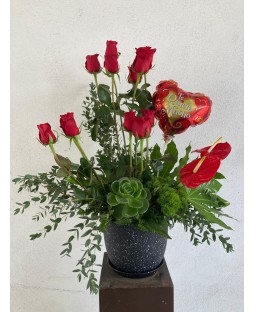 Rosas, Suculenta y Globo