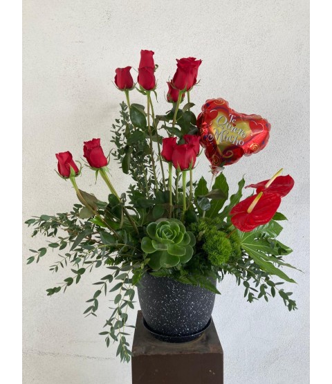 Rosas, Suculenta y Globo